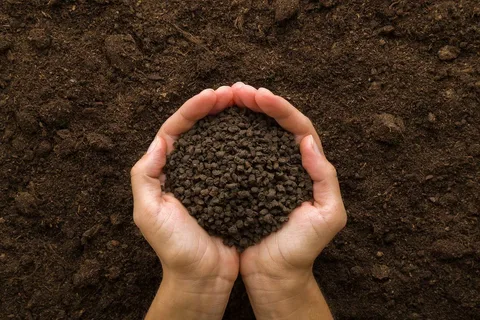 تصویر 2 از قیمت خرید کود ارگانیک سبزیجات + فروش ویژه
